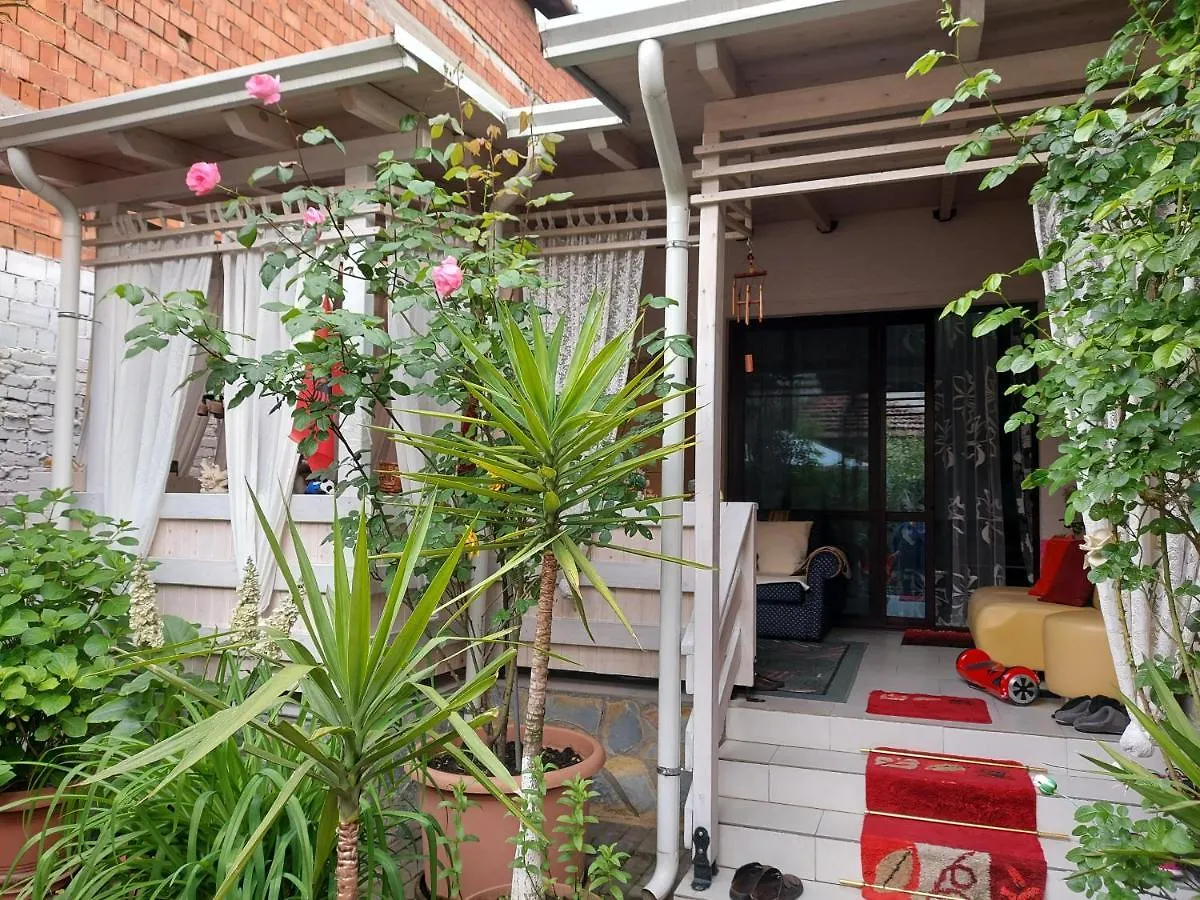 Guesthouse Hygge Tirana 0*,  Albanien