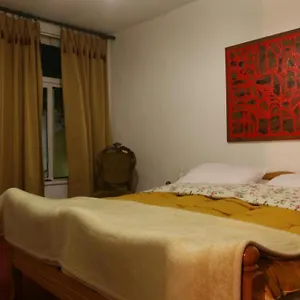 https://guesthouse-pension-andrea.albaniahotels.org